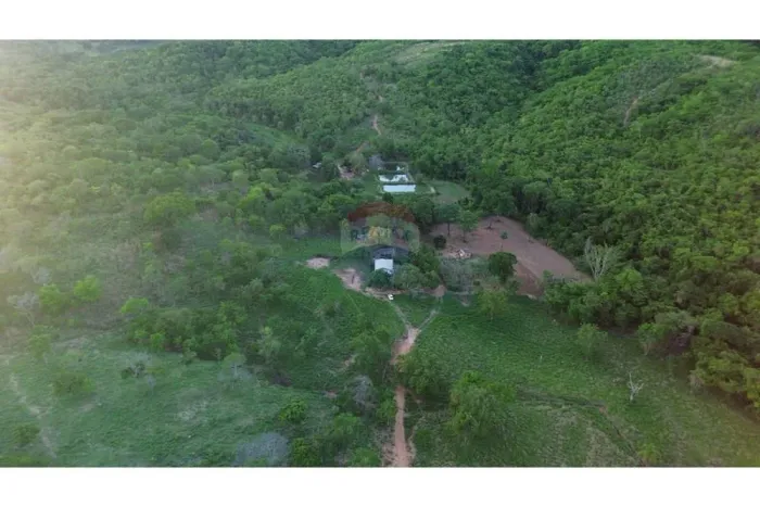 Fazenda São Miguel / Pindaíbas  Formosa GO