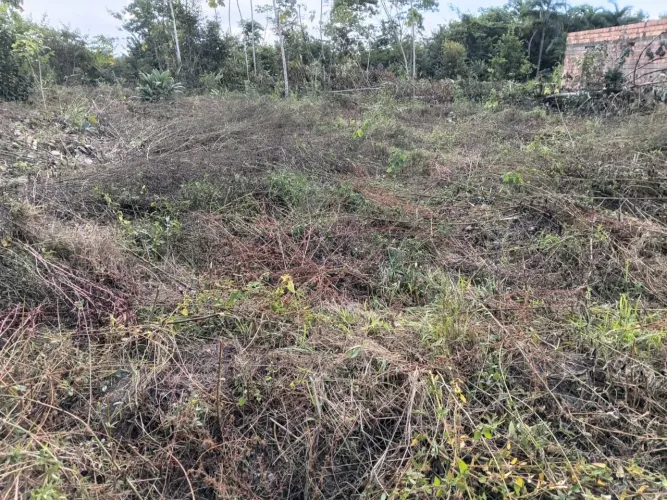 TERRENO NA AGROVILA CALUCIA MEDINDO 23x48