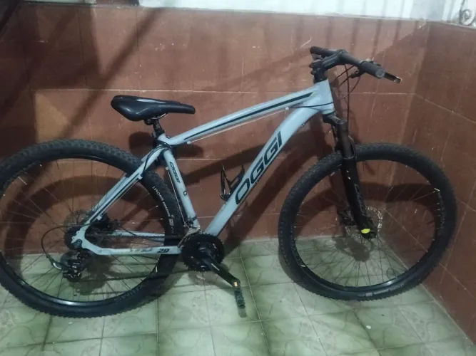 Bicicleta 