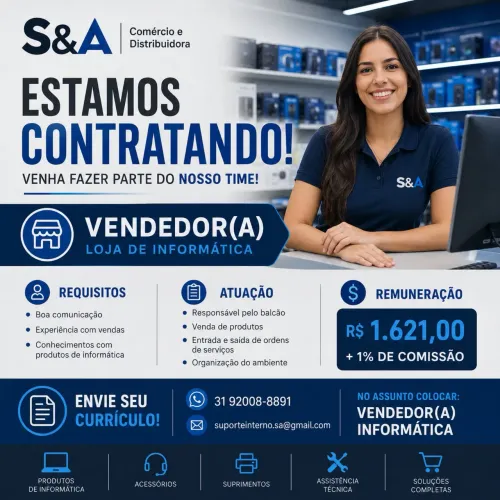 Vendedor (a) Informática