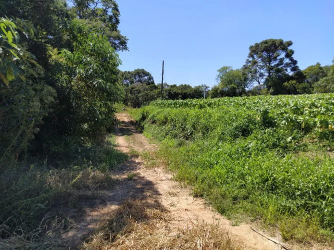 sitio Felipe