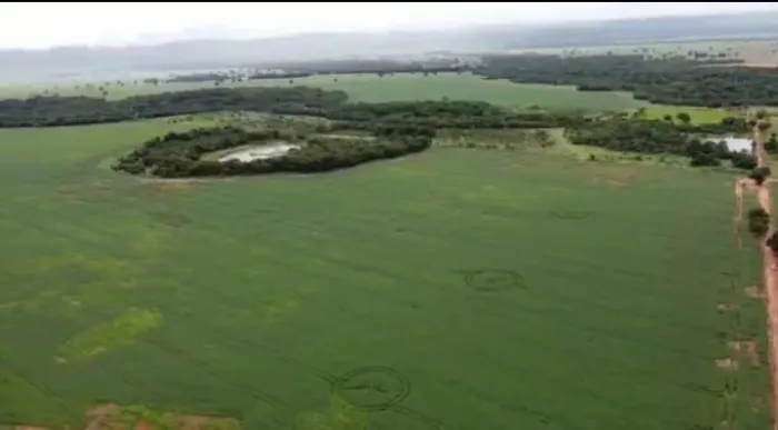 Fazenda 797 alq. Em novo planalto Goiás, 10 km da cidade, 650 alq aberto R,$:210 milhões