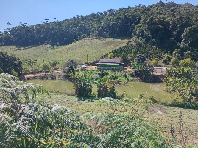 Vendo propriedade em Santa Maria de jetiba