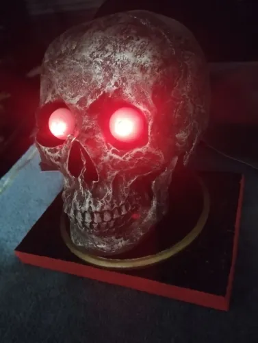 Crânio Decorativo Raloeem com Leds Vermelhos