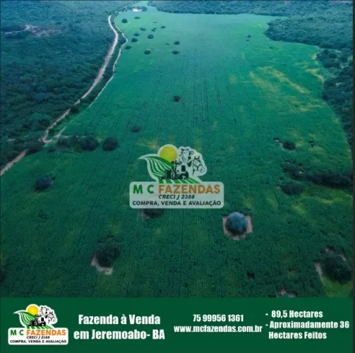 Fazenda c/ 295 Tarefas à Venda em Jeremoabo - BA | 89,5 HA