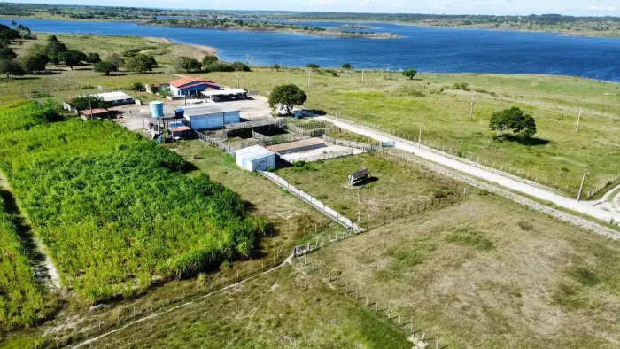 fazenda com 150 hectares entre Macaíba e vera cruz