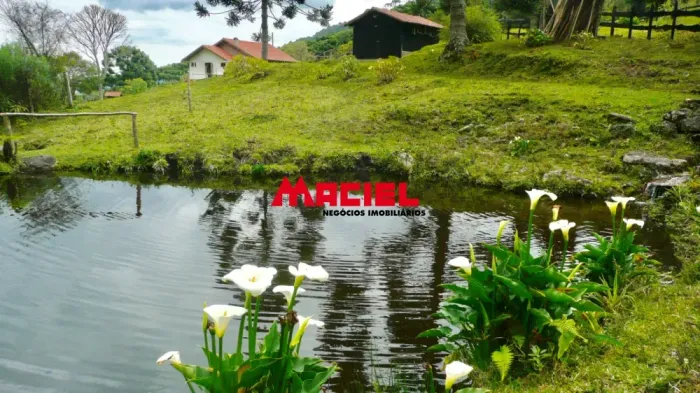 Belíssimo sítio em Sapucaí Mirim (bairro Juncal) com 3 casas e água em abundância