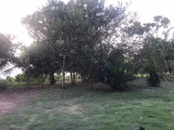 5 alqueire de terra. Ideal para quem quer criar gado