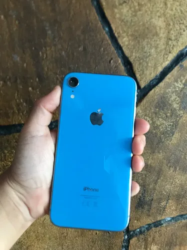 Celular 