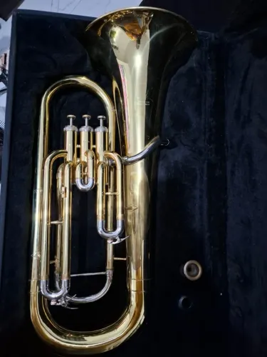 INSTRUMENTO MUSICAL