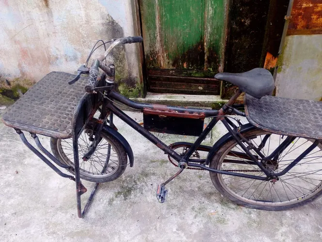 Bicicleta cargueira