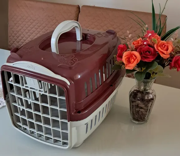 Casinha pet pequena 