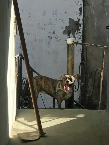 Doação responsável