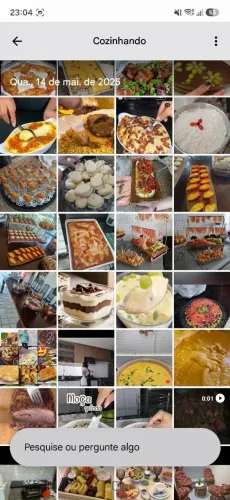 Cozinheira Forno e fogão.