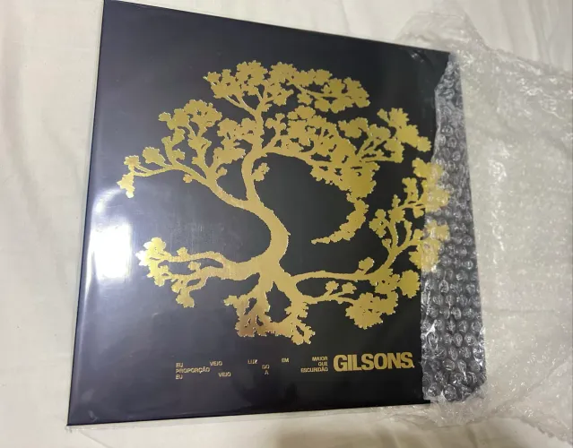 Gilsons Vinil Eu Vejo Luz Em Maior Proporção Do Que Eu Vejo A Escuridão Três Selos