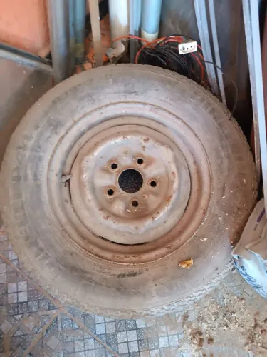 Roda opala 