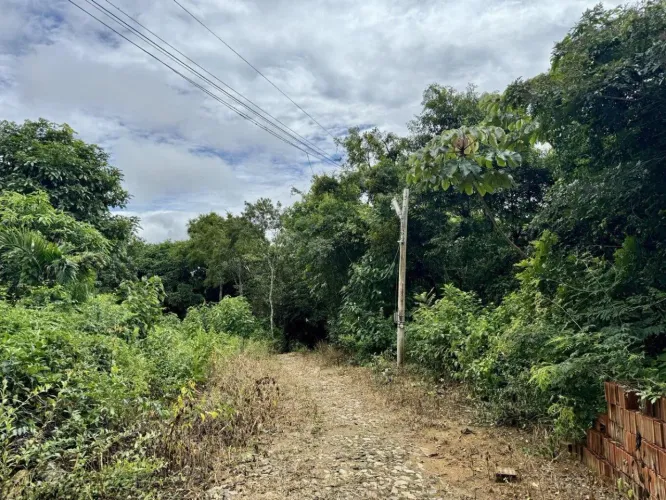 Terreno para , Sitio Cavaco, Mulungu