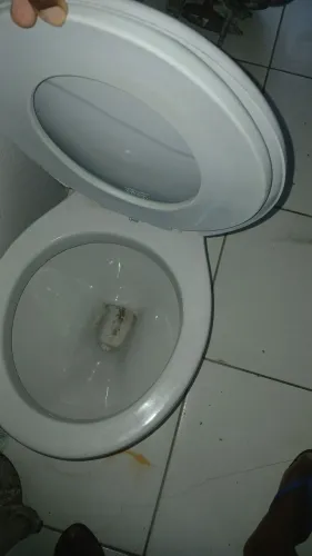 CONJUNTO DE VASO ACOPLADO CELITE ACOMPANHADO COM A PIA 