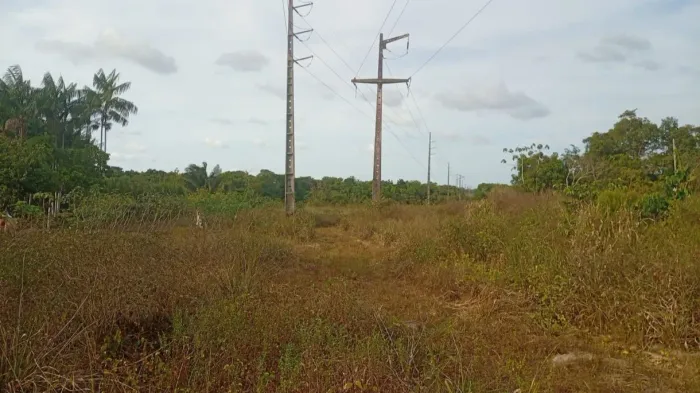 Terreno 