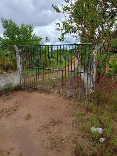 20 tarefas