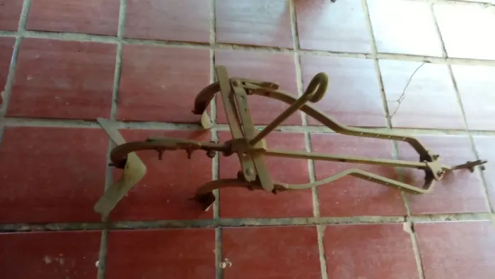 Arado sulcador tração Animal