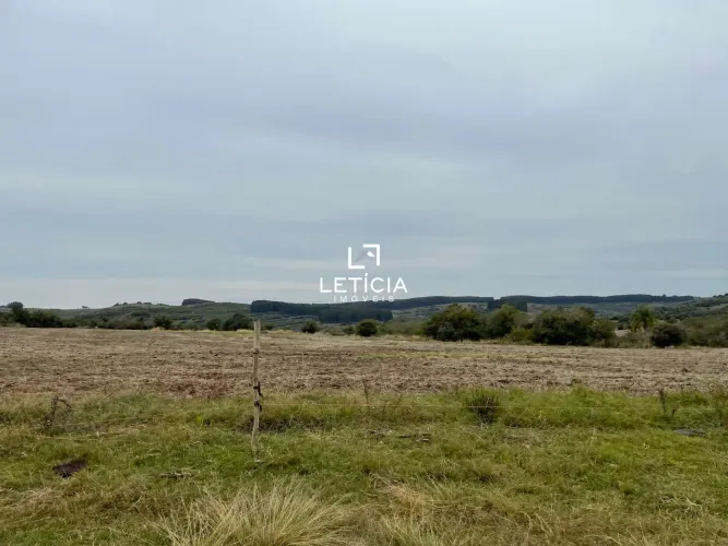 Campo de Pecuária!!!