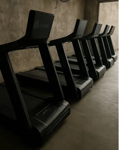 Esteira profissional Lion X4