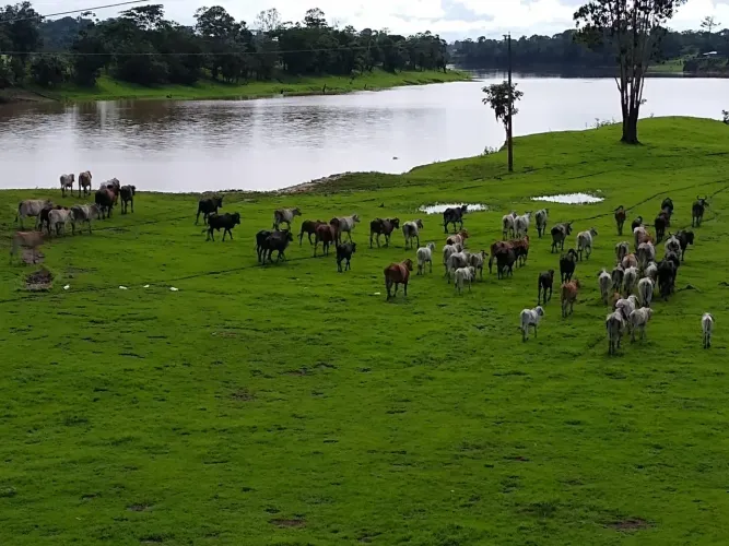 VENDA | MEGA FAZENDA EM AUTAZES PORTEIRA FECHADA