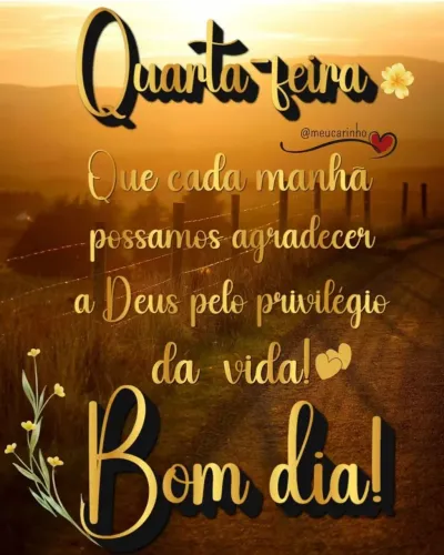 Casinha para Pete's