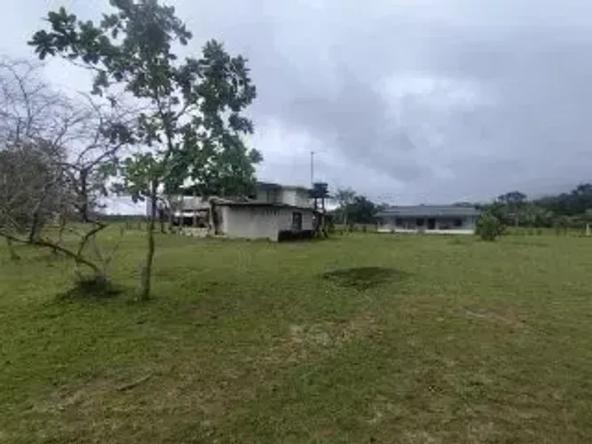Fazenda em Pracuúba - Pracuúba - AP