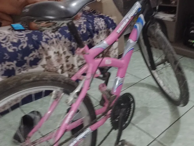 Bicicleta big aro 24
