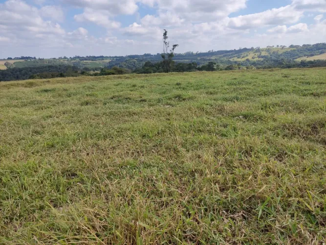 Fazenda 42 Alqueires, Rica em Água com Açudes e Ribeirão, Terra Mista a Vermelha, Topograf