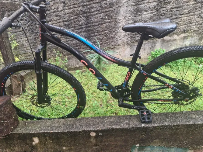 Bicicleta