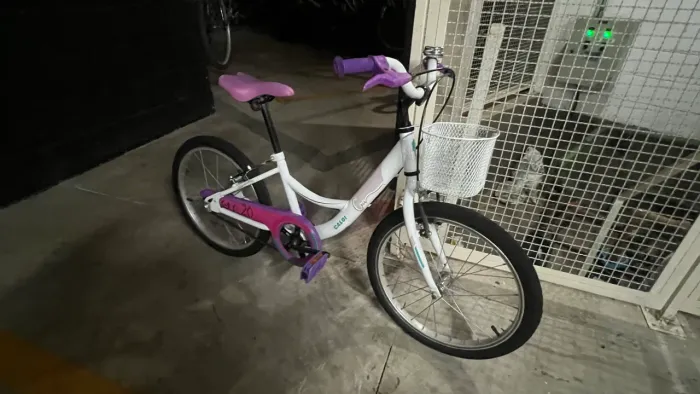 Bicicleta Caloi Ceci aro 20