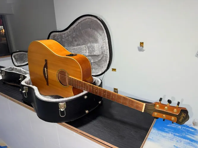 Violão profissional 