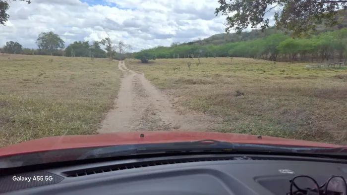 Excelente propriedade rural de 153 tarefas, no capim, zona rural de Itaberaba Bahia