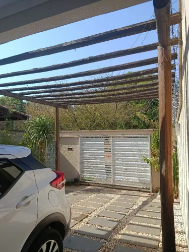 Madeira de eucalipto usada