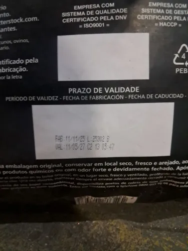 Ração pra gato filhote