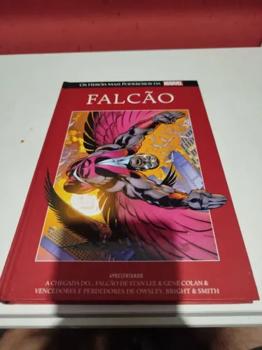 Falcão 19