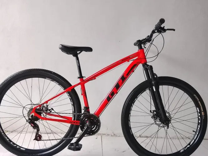Bicicleta Aro 29