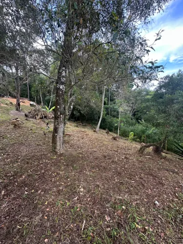 Terreno no sambaqui