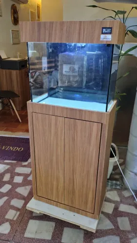 Aquário completo o melhor kit do mercado especial