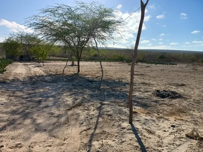Vendo terreno em Lagoa da Areia, município de Ibimirim-PE