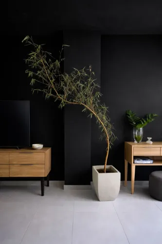 Bambu com folhas empalhadas. 