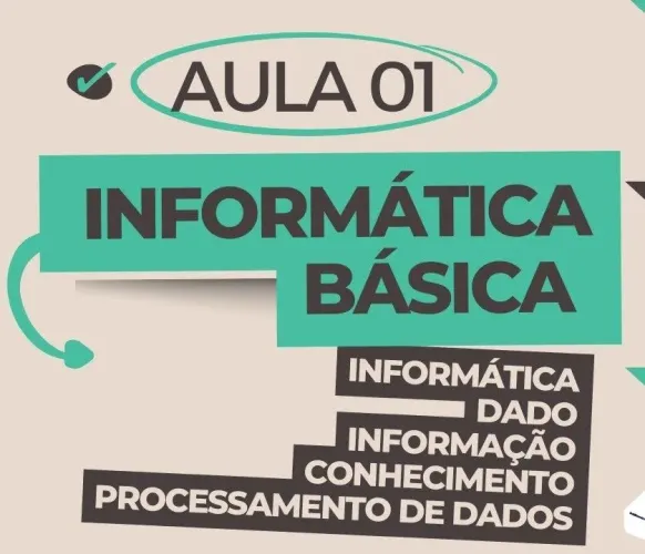 Técnico e bacharel em informática. Atendo a domicílio.