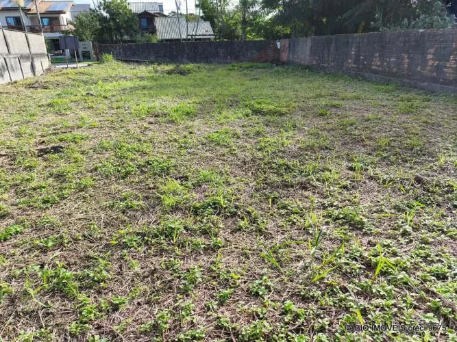 LOTE/TERRENO À VENDA - PRAIA DA DANIELA - FLORIANÓPOLIS - SC.