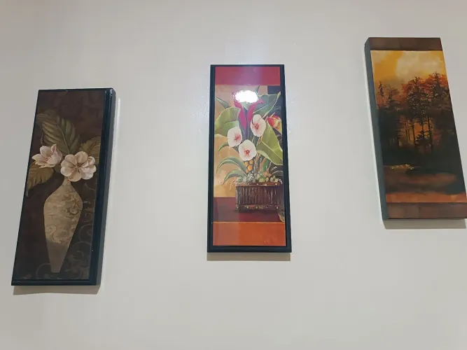 Conjunto de 3 quadros decorativos 