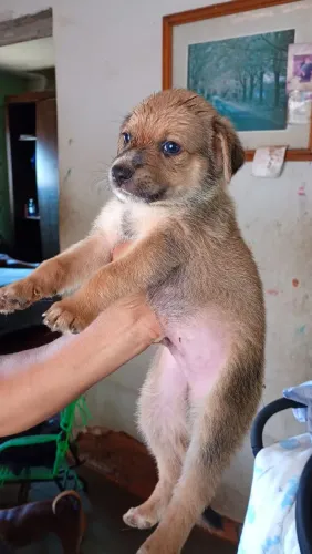 Pra vende só ficou 3