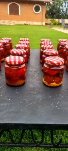 Pimenta Carolina reaper: 30,00 o pote. 2 por 50,00. Cada pote contém 12 Pimentas aprox