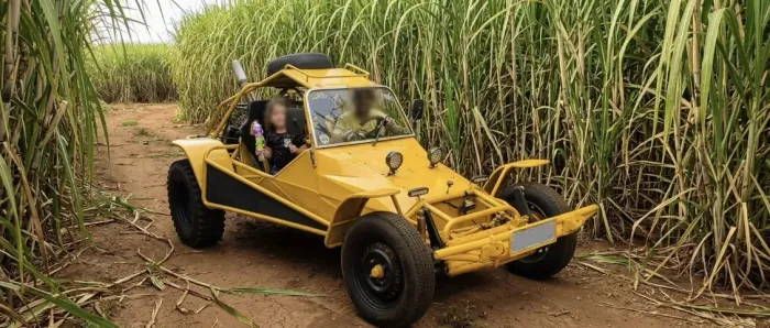 Buggy Buggy 1.6/ Tst/ RS 1.6 4-lug. 2009